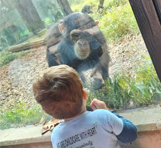 Infant care and daycare accepting newborns near me
