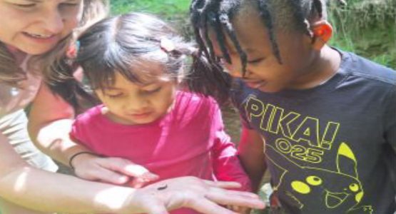 Private Montessori schools near me promoting early development